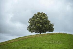 Serenity of Nature Wallpaper Collection photo