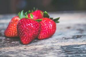 The Magic of Berries Bountiful Berries photo