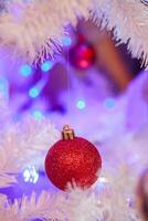 Festive Christmas Wonderland Background photo