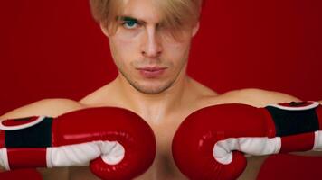 A focused boxer tightens his grip on red gloves while standing bare-chested against a bold red backdrop. His intense expression shows commitment to the upcoming fight. video