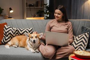 Smiling girl, teenager petting corgi dog relaxing on sofa using laptop computer at home photo