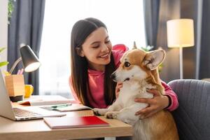 Smiling student girl hugging her corgi dog while studying at home photo