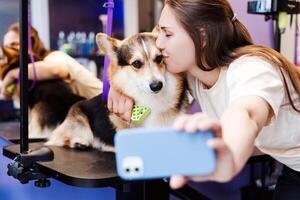 Happy groomer kissing small corgi dog while taking selfie after procedure photo