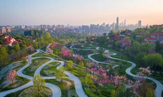 A close-up of a city park seen from above, with winding paths, blooming flowers, and the cityscape in the background photo