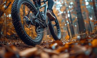 A cyclist's lower body and bike as they ride through a forest trail photo