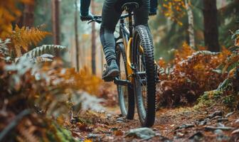 A cyclist's lower body and bike as they ride through a forest trail photo