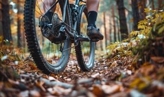 A cyclist's lower body and bike as they ride through a forest trail photo