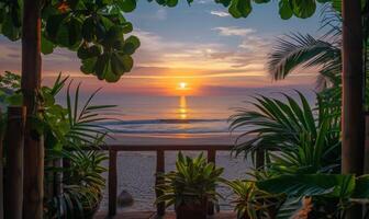 A sunrise over a tranquil beach, viewed from a balcony adorned with lush green plants photo