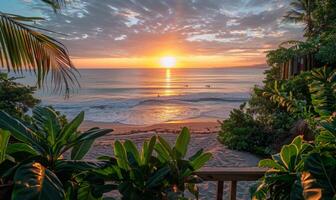 A sunrise over a tranquil beach, viewed from a balcony adorned with lush green plants photo