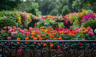 A vibrant garden full of blooming flowers, seen from a balcony with wrought iron railings photo