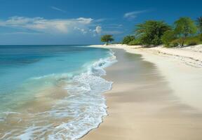 A picturesque view of a deserted beach with soft white sand and gentle waves lapping at the shore photo