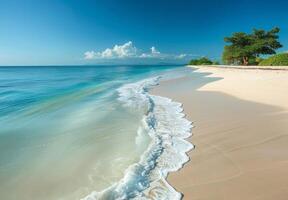 A picturesque view of a deserted beach with soft white sand and gentle waves lapping at the shore photo