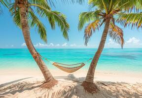 A pristine sandy beach with crystal-clear turquoise waters and a hammock between two palm trees photo