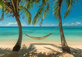 A pristine sandy beach with crystal-clear turquoise waters and a hammock between two palm trees photo