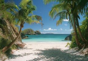 A secluded cove with powdery white sand and gently swaying palm trees photo