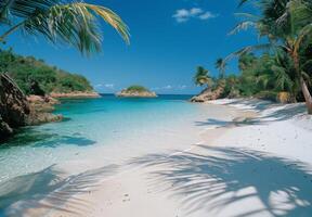 A secluded cove with powdery white sand and gently swaying palm trees photo
