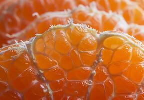 Zoomed-in view of the fibrous texture of a peeled orange photo