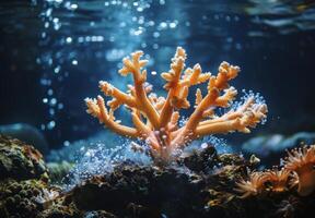 A close up of a delicate coral structure dissolving under the effects of acidified ocean water, with marine organisms trying to adapt photo