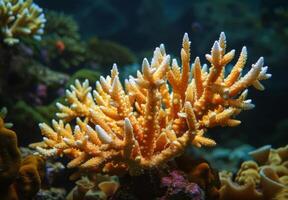 A close up of a delicate coral structure dissolving under the effects of acidified ocean water, with marine organisms trying to adapt photo