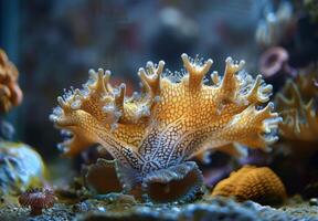 A close up of a delicate coral structure dissolving under the effects of acidified ocean water, with marine organisms trying to adapt photo