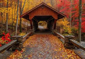 A covered bridge in the fall with autumn leaves photo
