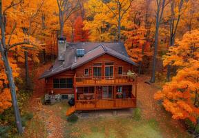 An aerial view of a log cabin surrounded by fall foliage photo