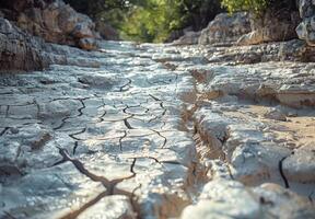 A river that is dry and cracked in the middle photo