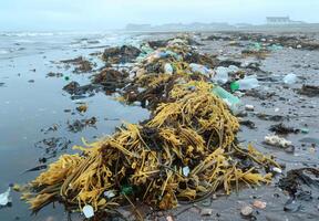 Plastic pollution in the ocean photo