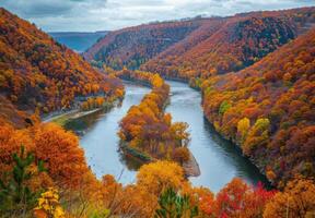 The river is surrounded by colorful trees in the fall photo