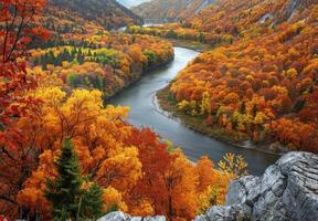 Autumn landscape with river and trees in the mountains photo