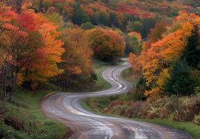A road winding through a forest with trees changing colors photo