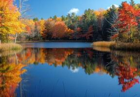Autumn reflections in a lake photo
