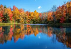 A lake surrounded by trees in the fall photo