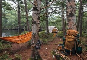 A tent and hammock in the woods photo