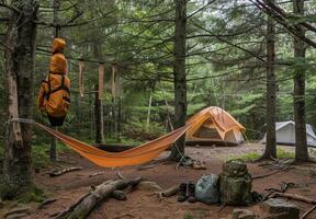 A tent and hammock in the woods photo