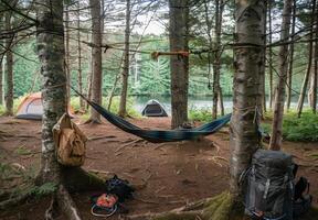 A hammock is set up in the woods near a lake photo
