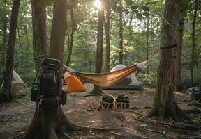 A hammock and backpack in the woods photo