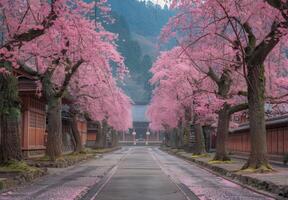 A street lined with pink trees in the middle of a town photo