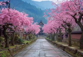 A path lined with pink trees in front of a temple photo