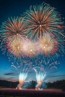 Colorful fireworks lighting up the sky with large bursts, silhouetting a cheering crowd below photo
