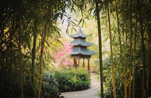 A path through a bamboo forest photo