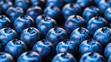 Perfectly arranged rows of blueberries in a geometric pattern, filling the frame with deep blue tones photo
