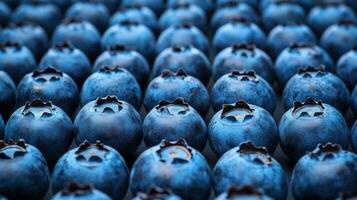 Perfectly arranged rows of blueberries in a geometric pattern, filling the frame with deep blue tones photo