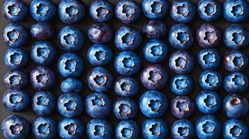 Perfectly arranged rows of blueberries in a geometric pattern, filling the frame with deep blue tones photo