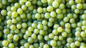 Top view of rows of green grapes, the clustered arrangement forming a repeating textured pattern photo