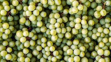 Top view of rows of green grapes, the clustered arrangement forming a repeating textured pattern photo
