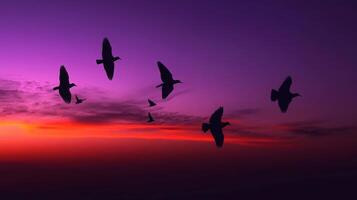 Silhouettes of migrating birds flying across a twilight sky, with shades of purple and orange in the background photo