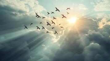 A flock of birds flying above the clouds, with the sun peeking through and illuminating their wings photo