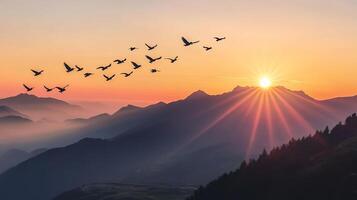 A flock of birds flying over a mountain range, silhouetted against the rising sun photo