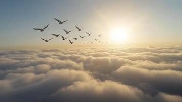 A flock of birds flying above the clouds, with the sun peeking through and illuminating their wings photo